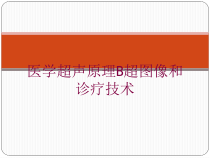 医学超声原理B超图像和诊疗技术培训课件