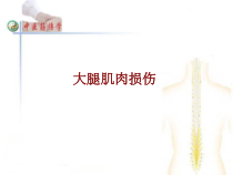 医学大腿肌肉损伤培训课件