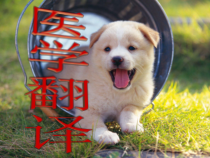 医学翻译与技巧课件