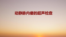 医学动静脉内瘘的超声检查培训课件