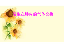 医学发生在肺内的气体交换培训课件
