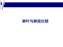 医学肺叶与肺段比较专题培训课件
