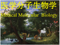 医学分子生物学MedicalMolecularBiology教学课件