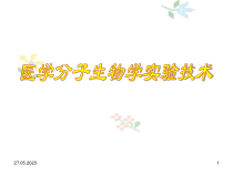 医学分子生物学技术-蛋白质共92张课件