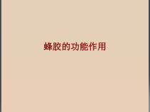 医学蜂胶的功能作用培训课件