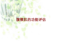 医学腹横肌的功能评估培训课件