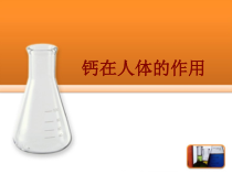 医学钙在人体的作用培训课件