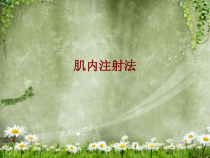 医学肌内注射法培训课件