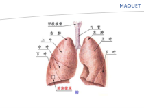 医学基础知识主题讲座课件