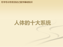 医学基础知识之人体的十大系统课件