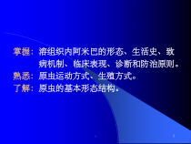 医学寄生虫学-医学原虫概论-课件
