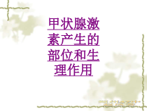 医学甲状腺激素产生的部位和生理作用培训课件