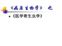 医学寄生虫学课件绦虫-有包虫