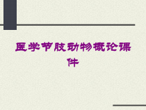 医学节肢动物概论课件培训课件