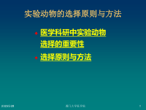 医学科研设计与论文撰写医学研究中实验动物的选择与课件