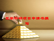 医学科研项目申请书撰写培训课件