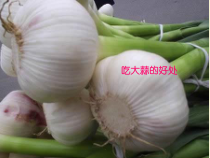 医学课件-吃大蒜的好处教学课件