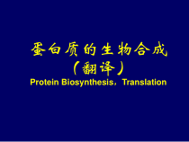 医学课件蛋白质的生物合成