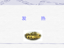 医学课件-发热原因分析教学课件
