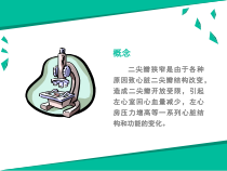 医学课件二尖瓣球囊扩张术