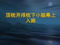 医学课件-poppen入路课件