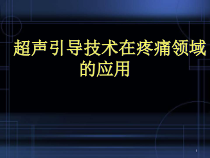 医学课件-超声引导技术在疼痛领域的应用课件