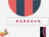 医学课件-感觉器官的功能课件