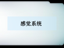 医学课件-感觉传导通路课件