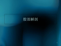 医学课件-股部的解剖课件