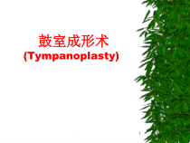 医学课件-鼓室成形术教学课件