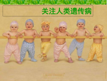 医学课件-关注人类遗传病课件
