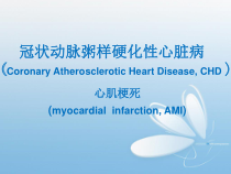 医学课件-冠状动脉粥样硬化教学课件