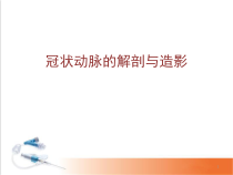 医学课件-冠状动脉的解剖造影心电图课件