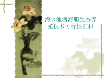 医学课件-海胆技术路线可行性报告教学课件