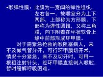 医学课件-喉弹性膜课件