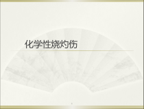 医学课件-化学性烧灼伤改教学课件