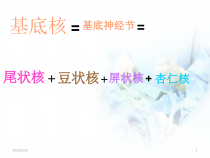 医学课件-基底节区解剖位置关系图及临床课件