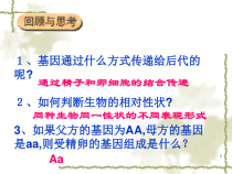 医学课件-基因的显性和隐性教学课件