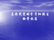 医学课件-基因突变的分子教学课件