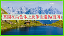 医学课件-基因在染色体上和伴性遗传教学课件
