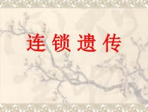 医学课件-连锁遗传教学课件