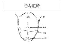 医学课件临床各种舌相大全