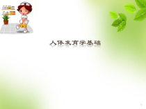 医学课件-人体发育学基础课件