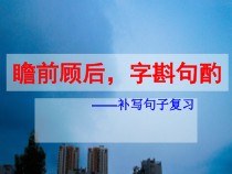 2021届高考专题复习补写句子优秀课件