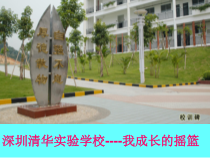 高考复习熟语的运用课件