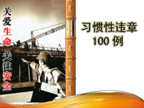 习惯性违章100例 画册