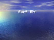 医学课件-疼痛学-概述课件