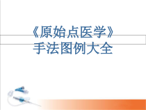 医学课件-原始点医学手法图例大全课件