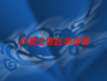 血管生理医学宣教培训课件