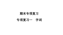 部编版专项复习一-字词课件